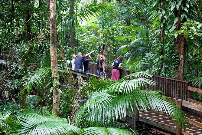 Daintree Rainforest and Mossman Gorge: Full or Half Day Tour - Tour Highlights and Features