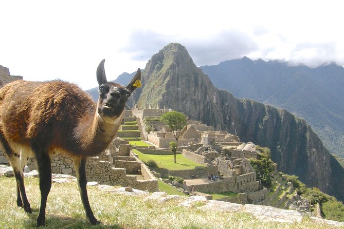 Day Trip Tour to Machu Picchu From Cusco - Inclusions