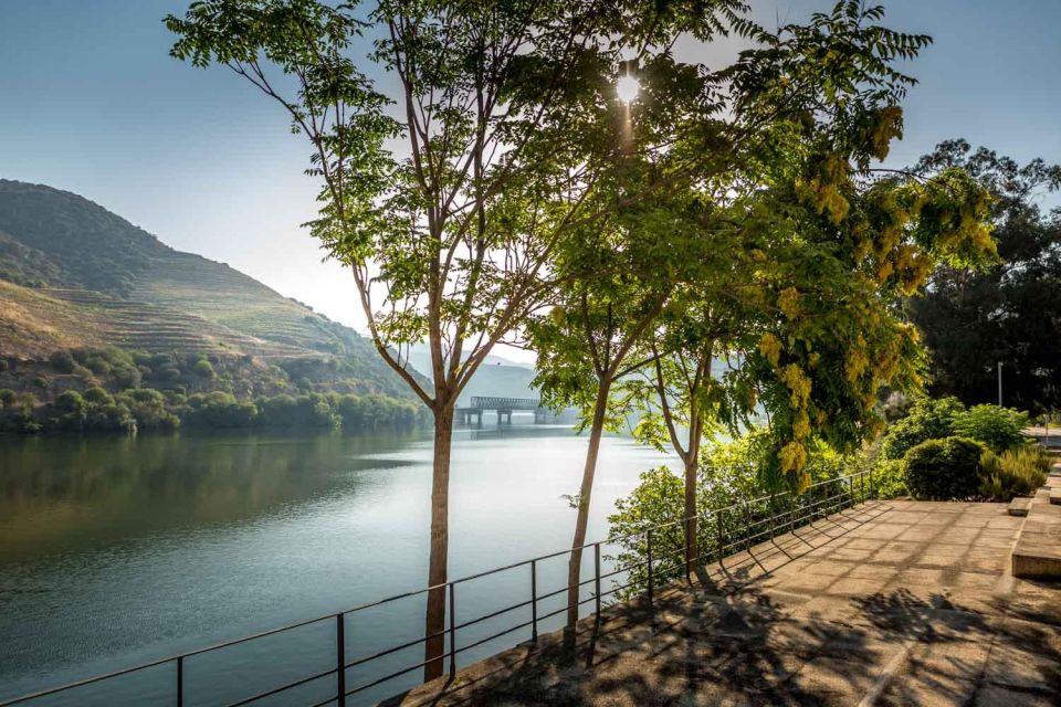 Douro the Crown Jewel - Douro River: A Scenic Wonder