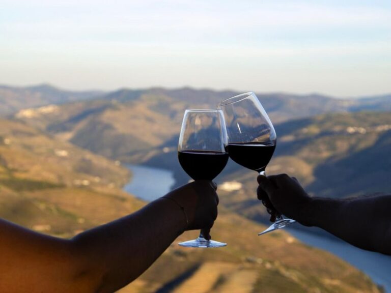 Douro Valley: 3 Vineyards Private Experience