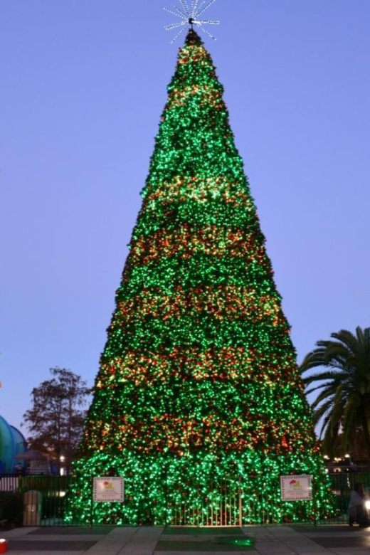 Enchantment and Elation: A Disney Springs Christmas - Festive Decorations and Disney Magic