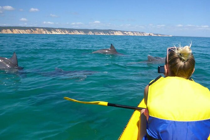 Epic Kayak With Dolphins & Wildlife - 4WD Beach Adventure Noosa - Explore Noosas Hidden Gem