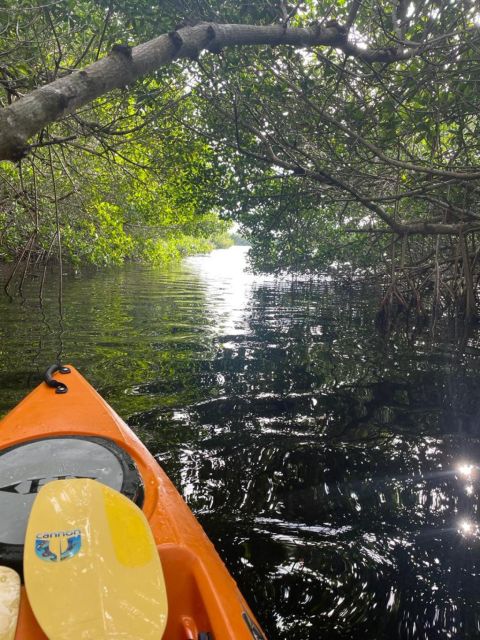 Everglades Kayak Eco Tour - Tour Details