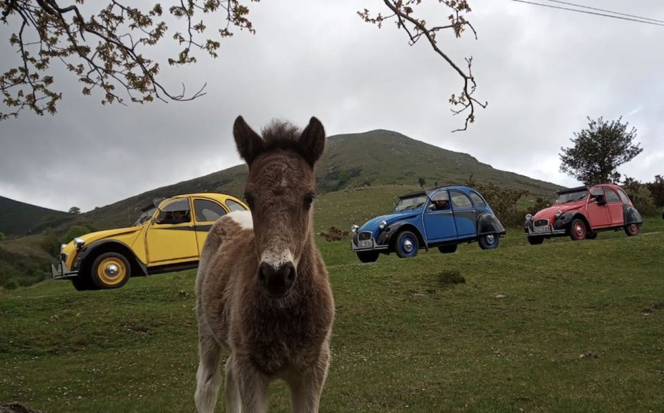 Family Trip Biarritz in Citroen 2CV - Booking Details