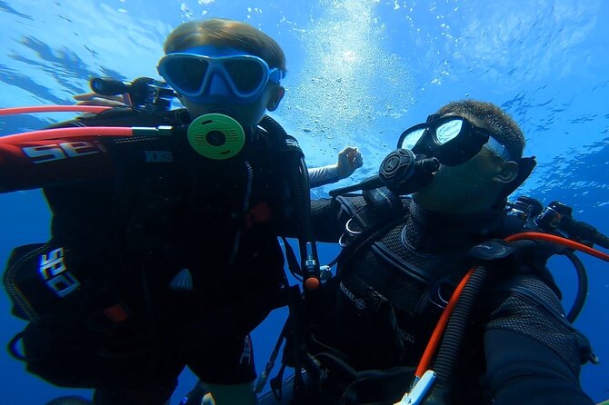 First Dive 60 Minutes in Saint-Raphaël