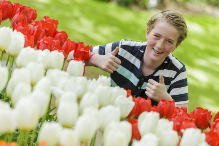 From Amsterdam: Keukenhof Entrance and Public Bus Transfer