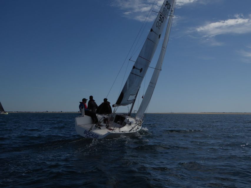 From Faro: Private Ria Formosa Sailing Trip - Trip Details