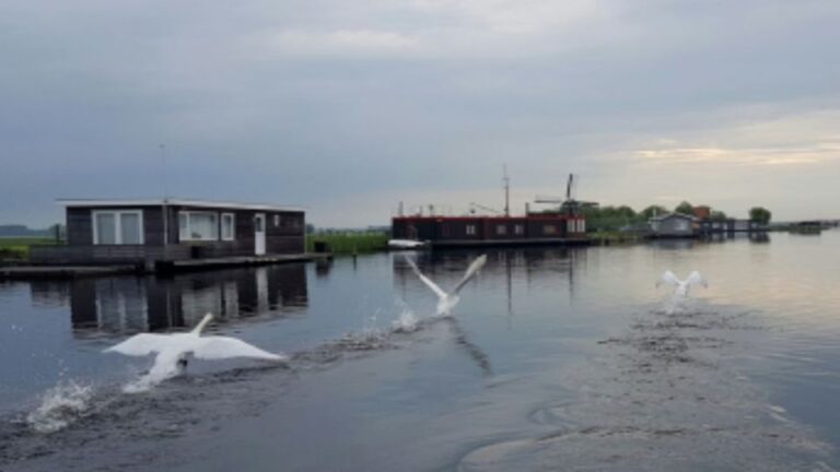 From Katwijk: Kaag Lakes Cruise