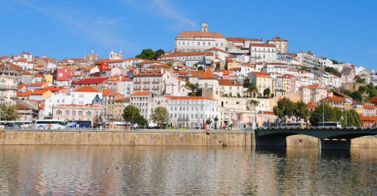 From Porto: Private Sightseeing Coimbra and Aveiro Tour