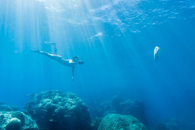 Great Barrier Reef Snorkeling and Diving Cruise From Cairns