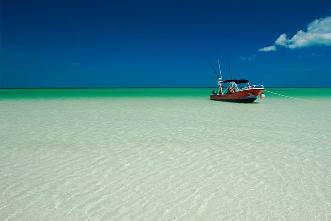 Holbox Island Full Day Trip With Lunch From Playa Del Carmen - Cancellation Policy and Refunds