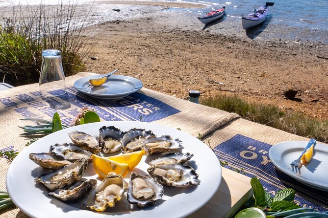 Informative Oyster Activity: Handling, Shucking & Storing + Kayaking - Oyster Handling Essentials