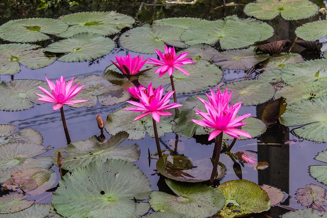 Kakadu, Nourlangie and Yellow Waters Tour From Darwin