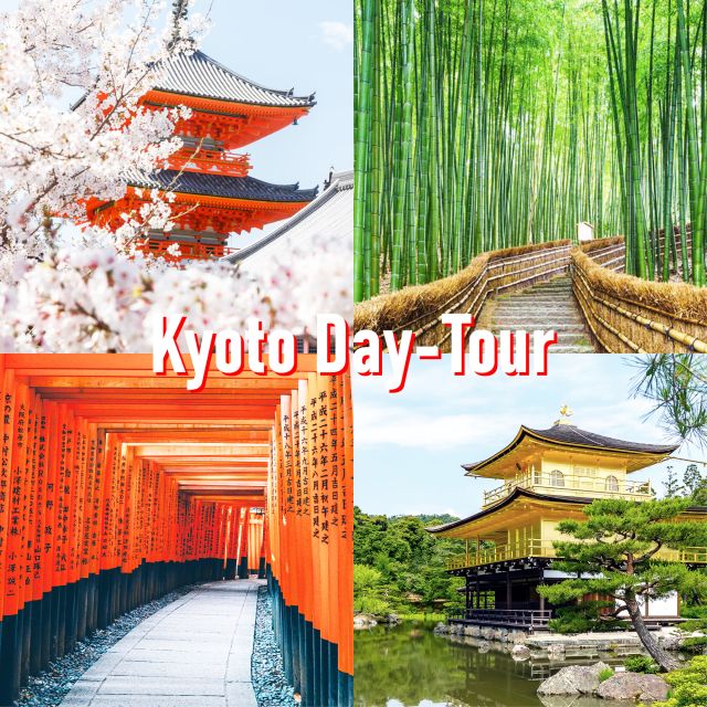 Kyoto: 10-hour Customized Private Tour - Experience Benefits