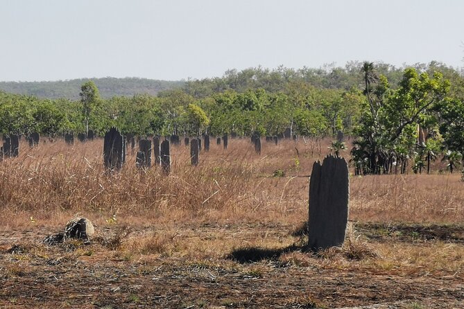 Litchfield National Park Tour & Berry Springs, Max 10 Guests, - Tour Highlights and Inclusions