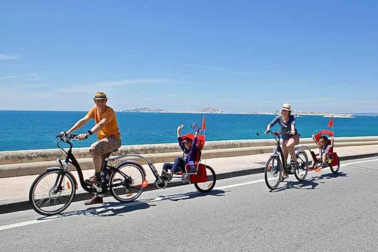 Marseille: Half-Day E-Bike Tour From Cruise Port