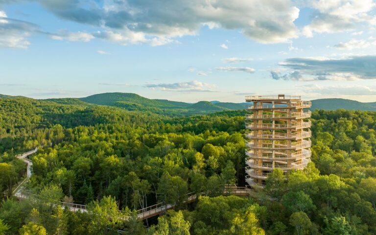 Mont-Tremblant: Laurentians Treetop Observatory and Walk