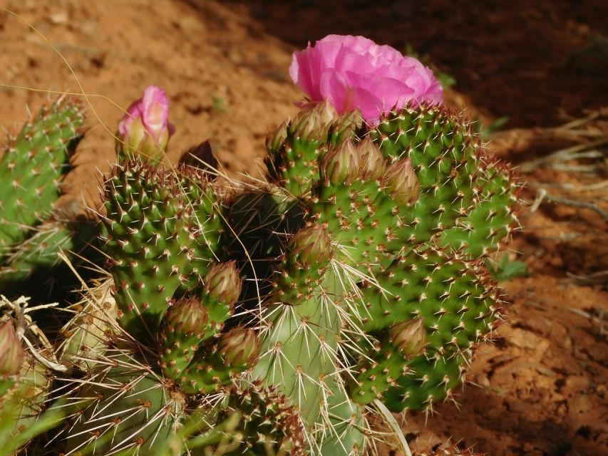 Monument Valley: Scenic 3.5-Hour Cultural Tour - Booking Information