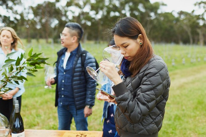 Organic Vineyard/Farm Tour