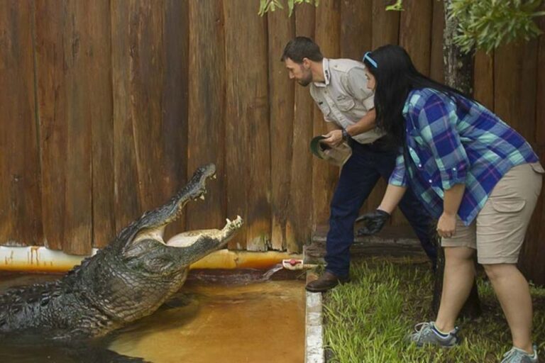 Orlando: Gatorland Interactive Tour With Animal Trainer