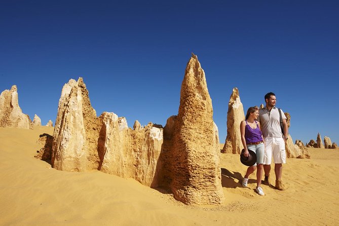 Pinnacles Day Trip From Perth Including Yanchep National Park - Yanchep National Park Delights