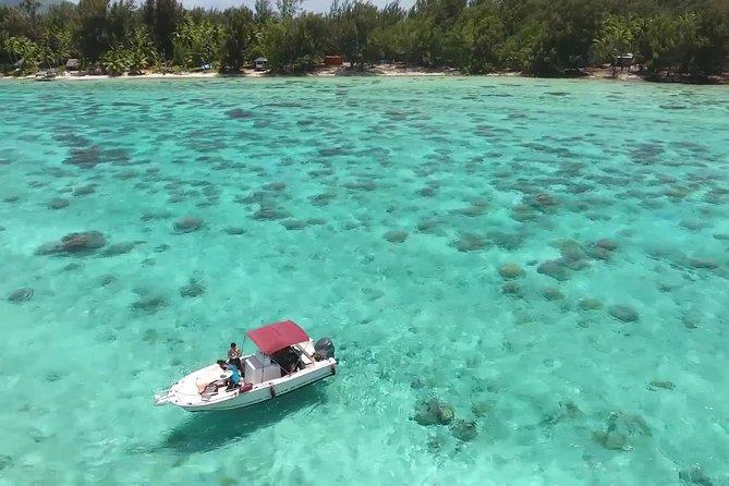 Private Bora Bora Lagoon Experience