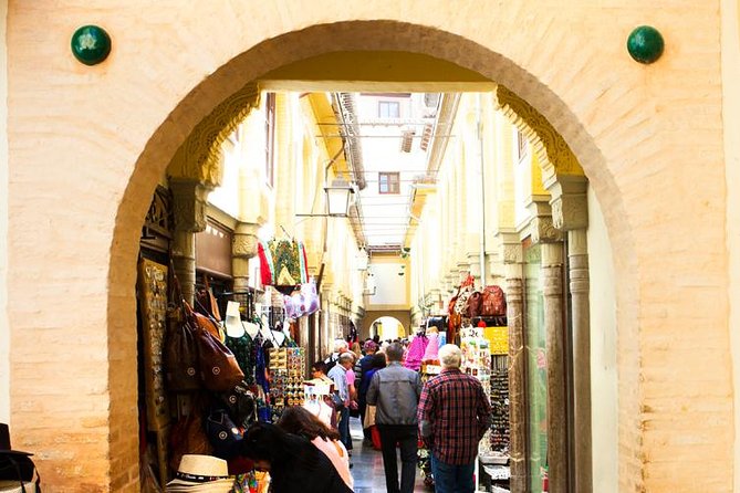 Private Historical Tour at the City Center of Granada and Albaicin - Tour Overview