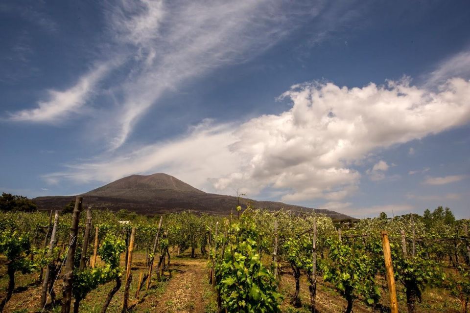 Private Pompeii Tour and Wine Tasting - Tour Details