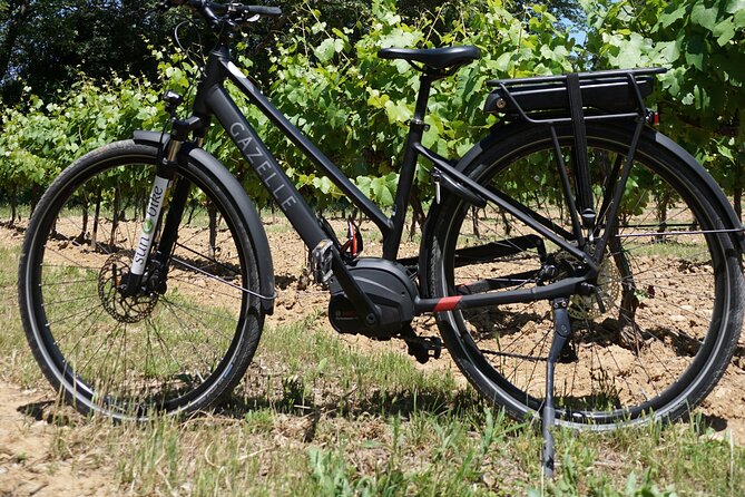 Provence Electric Bike Rental From Saint-Rémy-De-Provence - Experience Highlights