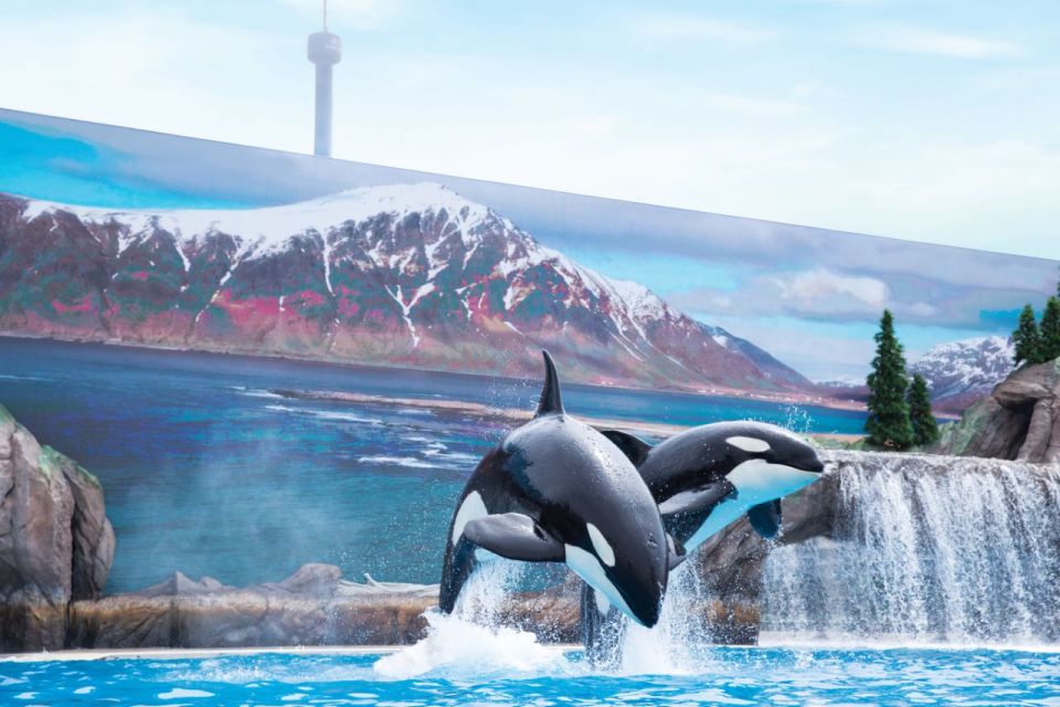 San Antonio: SeaWorld Skip-the-Line Park Admission Ticket - Experience Highlights