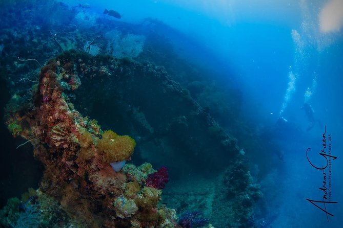 Scuba Dive the S.S. Yongala Wreck on the Great Barrier Reef. - Explore the SS Yongala Wreck