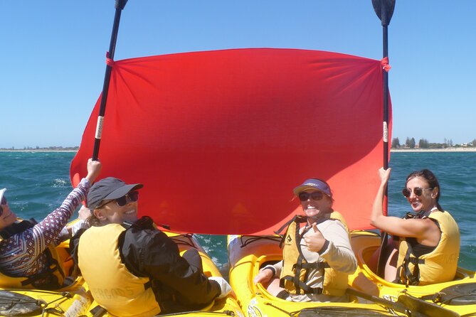 Seal Island and Penguin Island or Point Peron Sea Kayak Tour