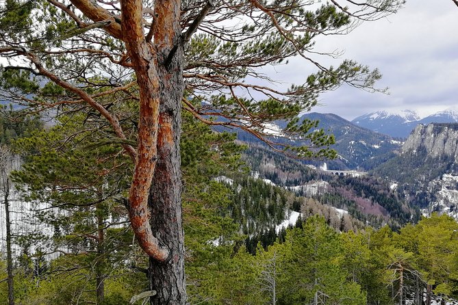 Semmering Alpine Railway Hike - Hiking Route Overview