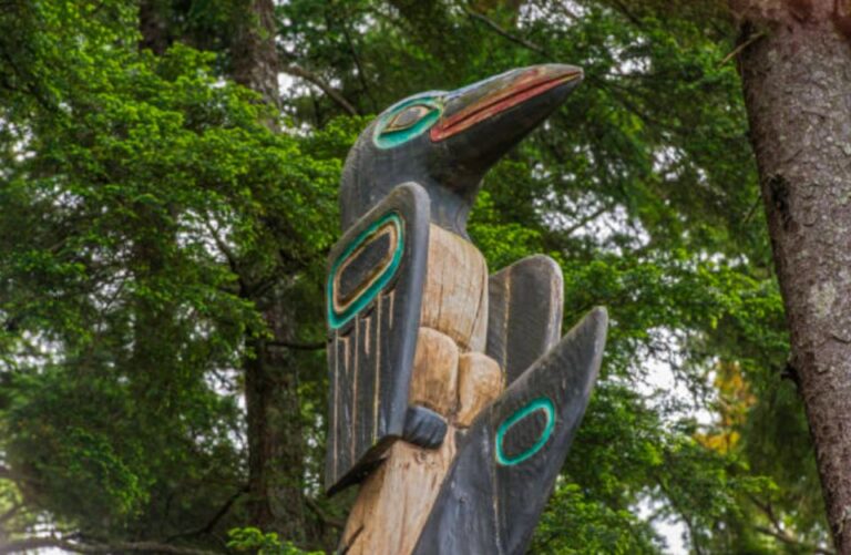 Sitka: Totem Poles, Raptor Centre, & Fortress of Bears Tour