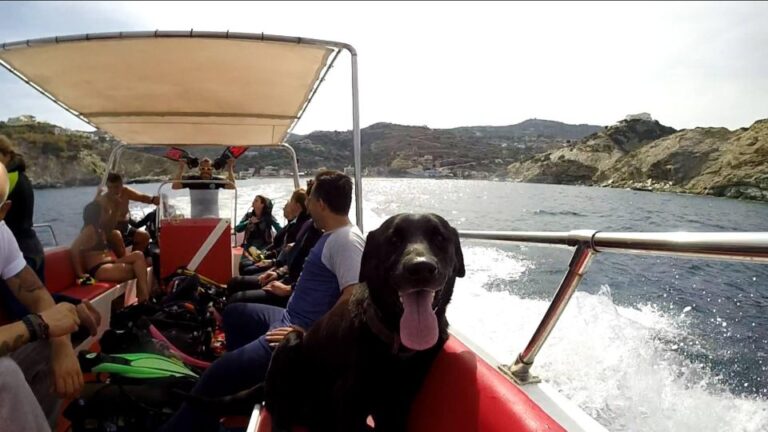 Snorkeling Trip With Motor Boat Around Agia Pelagia