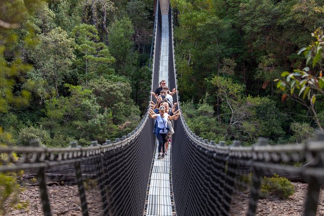 Tahune Airwalk & Hastings Cave Active Day Tour From Hobart - What to Expect on Tour