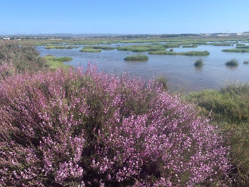 Tavira: 3-Day Hiking Trip With Fado Concert and Tapas Haul - Trip Overview