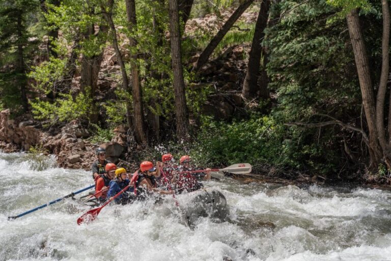 Telluride Whitewater Rafting – Morning Half Day