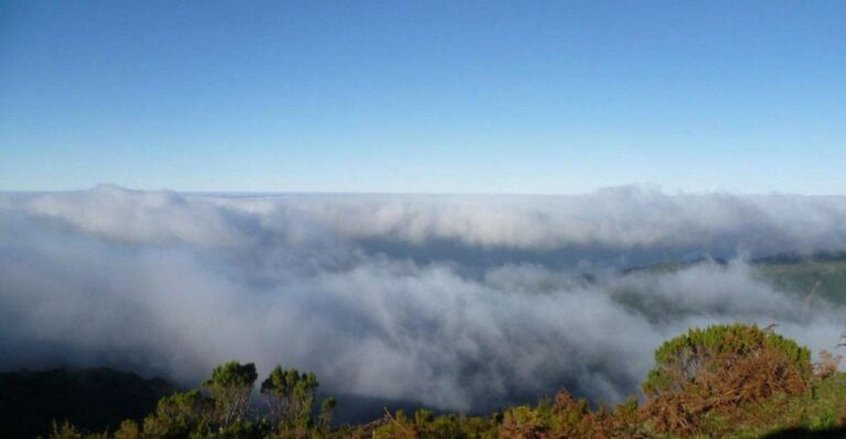 The High Plateaus of the West : Fanal and Bica Da Cana