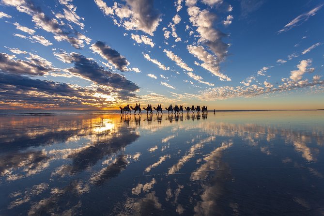 1 Hour Broome Sunset Camel Tour - Camel Ride Experience Details