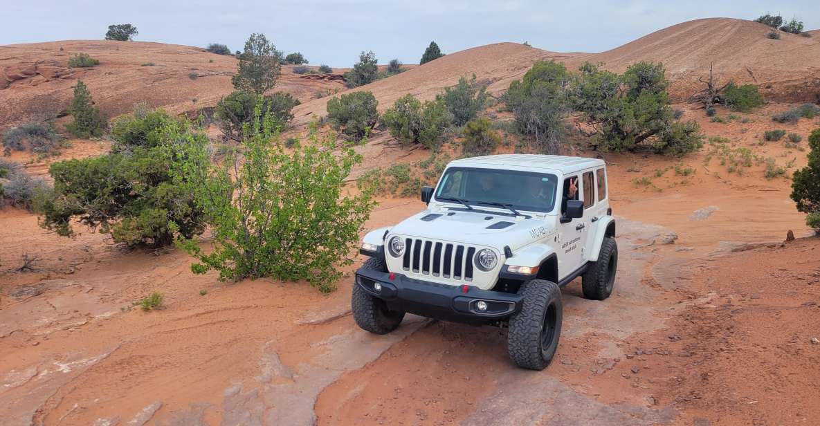 Afternoon Arches National Park 4x4 Tour - Experience Highlights