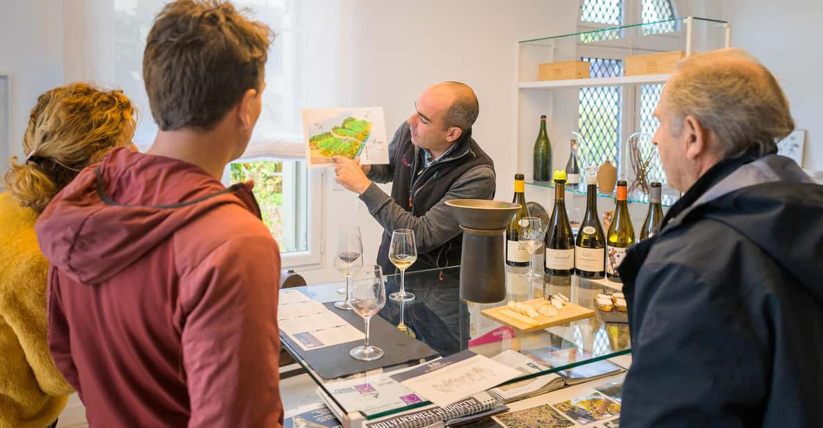 Afternoon- Wine Tour in Touraine From Tours or Amboise - Provider Information