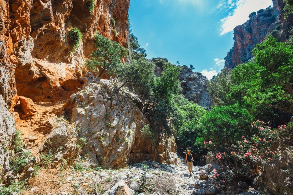 Crete: Kritsa Gorge Hike With Picnic & Swim Stop - Booking Information