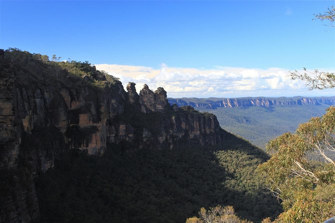 Day Trip To Cronulla & The Royal National Park - Beachside Delights and Whale Watching