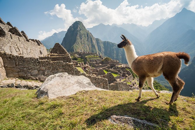 Day Trip Tour to Machu Picchu From Cusco - Additional Information