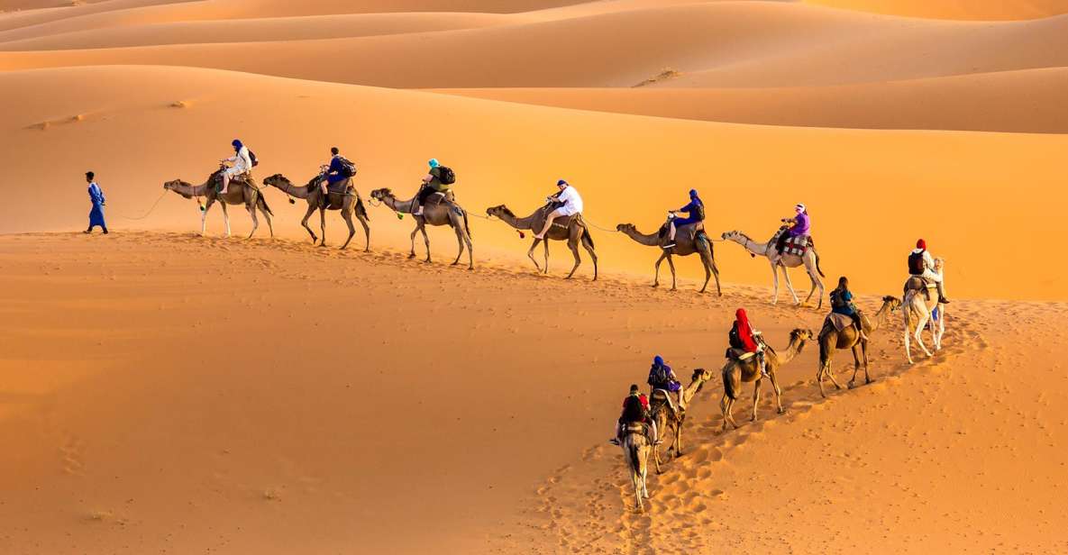 Douz 2-Day Sahara Desert Camel Trek - Itinerary Highlights