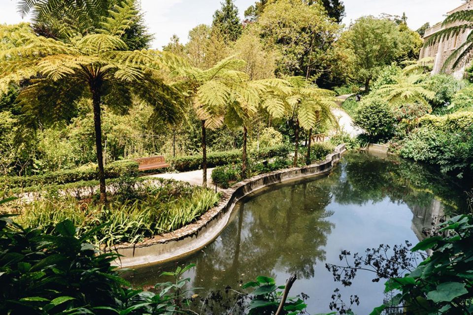 Enchanting Sintra: Palaces, Sweet Indulgences and Wine - Sintras Sweet Delights: Pastry Tasting