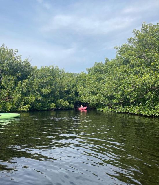 Everglades Kayak Eco Tour - Cancellation and Reservation Policy