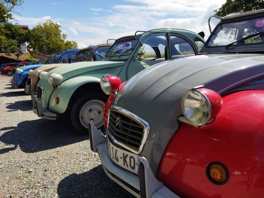 Family Trip Biarritz in Citroen 2CV - Activity Highlights