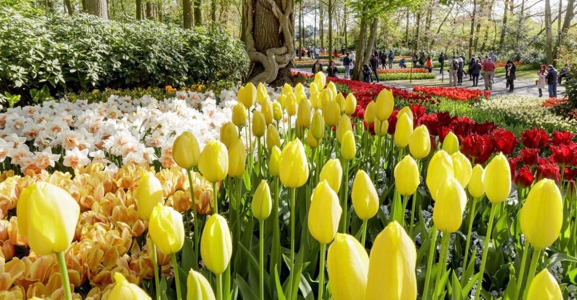 From Amsterdam: Keukenhof Entrance and Public Bus Transfer - Keukenhof Experience